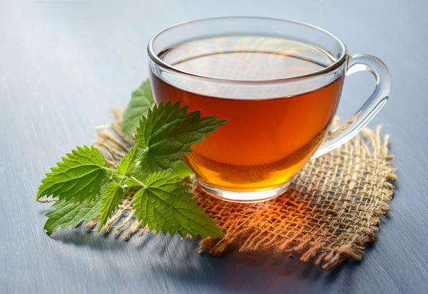 Your ultimate guide to buying the best loose leaf tea