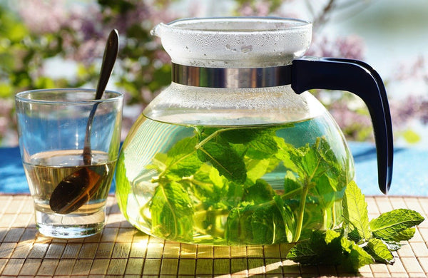 9 Wonderful Lemon Balm Tea Benefits + Easy Recipe