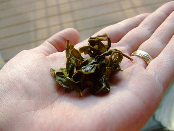 What is Oolong tea and what are health benefits of Oolong tea?